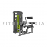 Back Extension Machine DHZ E3031A